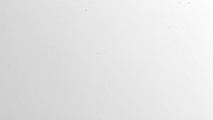 Image Before Flat-Field Correction