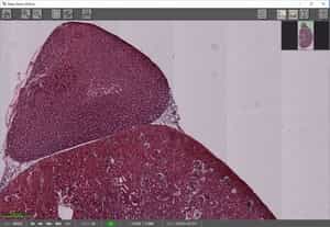 Flatten Background Process — Before