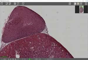 Level Background Process — After