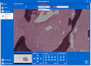 Changing Camera Mode While Browsing