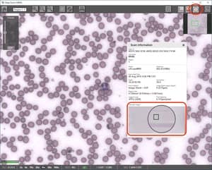 Deep Zoom Viewer-ROI Overview