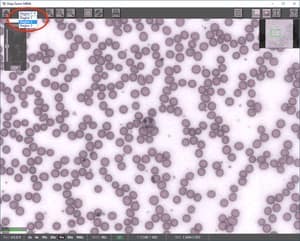 Deep Zoom Viewer-Region Selector